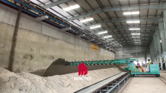 Macchina per blocchi di mattoni con bruciatore di carbone Prezzo Cina Forno a tunnel per la combustione di mattoni di argilla